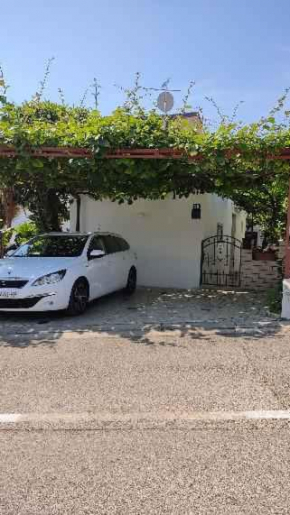 Apartments in Porec/Istrien 33353